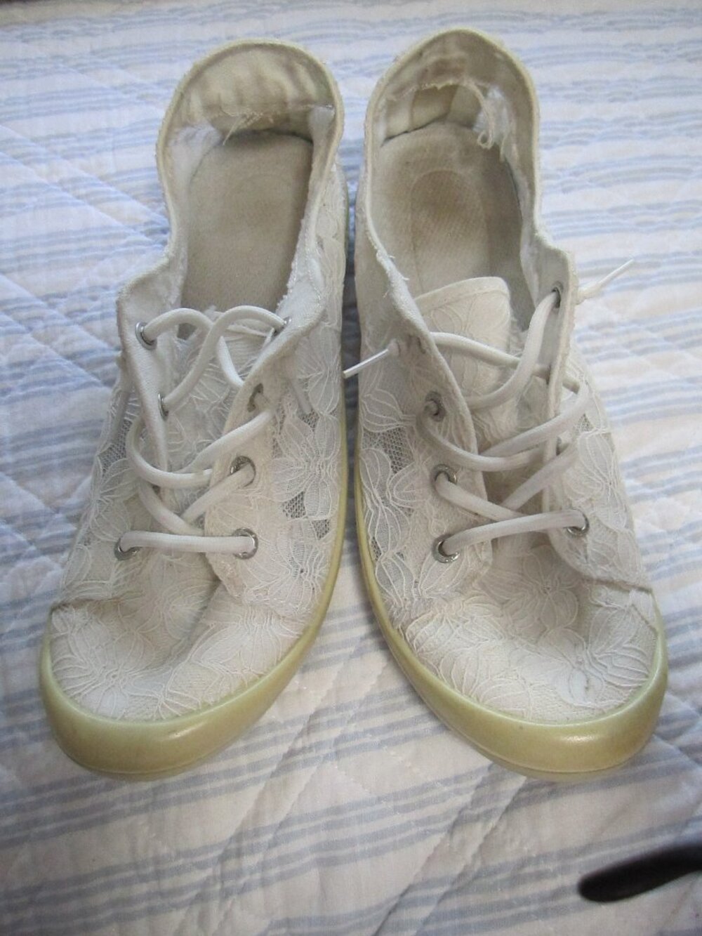 Women's Lace Canvas Sneakers in Ivory